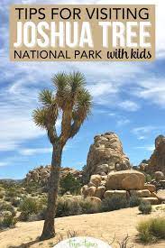 Guide To Joshua Tree National Park With Kids In 2021 Joshua Tree National Park National Parks Joshua Tree