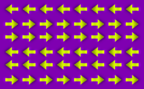 Image result for illusion pictures