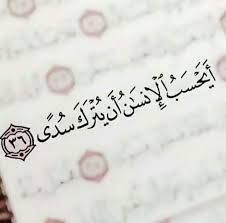 Pin By Neevan Ashraf On Islam Quran Quotes Love Quran Quotes Verses Quran Book