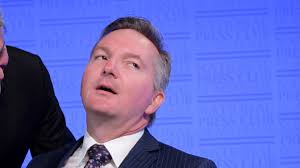 RSPCA greyhound rescue: Isabelle McNulty sues animal charity after  'predatory' ex-racing greyhound mauled her