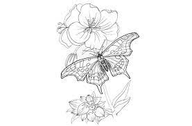 Ok google gambar flora dan fauna. 18 Contoh Gambar Flora Dan Fauna Simple Dan Mudah Broonet