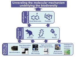 Image result for Higher Integrative Function