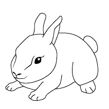 You should know that many babies are born with blue eyes, which may change color (usually becoming darker) over the course of the first year. Baby Animal Coloring Pages Dibujo Para Imprimir Baby Animal Coloring Pages Bunny Dibujo Para Imprimir