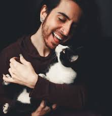 Data Reveals Pacific Northwest Is Where To Find The Single Cat Dads