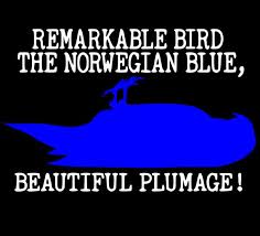 Monty Python Inspired Shirt Norwegian Blue Monty | Etsy