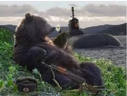 Create Meme Russian Back Russian Back Meme Bear Russian Bear Pictures Meme Arsenal Com