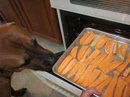 Great Dog Treats Peel Slice Sweet Potatoes Bake In 250 Oven For 3 4 Hours Dogs Love Them Thanks For The Pin Kim Matt Dog Treats Dog Recipes Puppy Treats