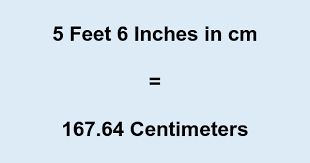5 6 In Cm 5 Feet 6 Inches To Cm