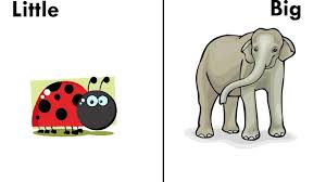 Pin De English Teacher En Antonyms Opposites Concepto Opuestos