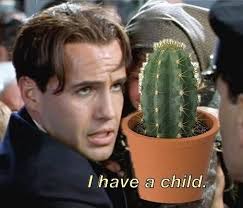 Searle Greenhouses' Prairie Garden Center