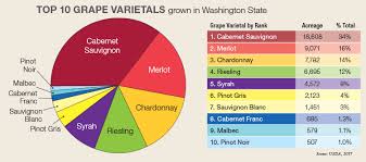 Red Wine Varietals Chart Www Bedowntowndaytona Com