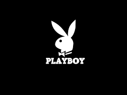 Image result for bunny logo
