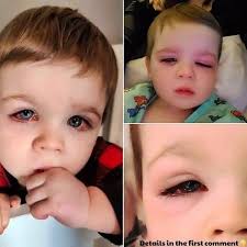 Lessons Taught By Life