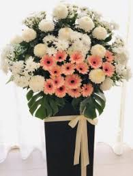 Maybe you would like to learn more about one of these? Best Flowers For Grand Opening Ceremony Ferns N Petals Singapore