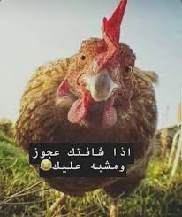 Cartoon Art Styles Arabic Funny Cartoon Art