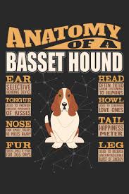 They do it to let other pack members knows where they. Anatomy Of A Basset Hound Anatomy Of A Basset Hound Notebook Journal 6x9 Personalized Customized Gift For Basset Hound Mom Dad Lined Paper Leon Maria Amazon De Bucher