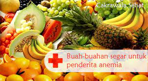 Ini pilihan makanan yang bisa anda konsumsi untuk membantu melancarkan peredaran darah! 46 Jenis Makanan Penambah Darah Yang Terbukti Efektif Info Daharan Info Kuliner