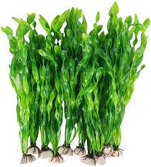 Amazon Ca Decoration Aquarium Animalerie Fish Tank Plants Plastic Fish Tank Fish Plants