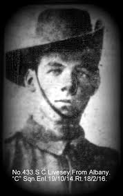 World War 1, Australia, Western Australia, 433 LIVESEY, 10 Light Horse