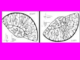 This Is A Black And White Template For Another Brain Hat This One From Ellen Mchenry S Own Website A Brain Hat Brain Based Learning Science Education