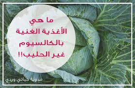 الاغذية الغنية بالكالسيوم من المصادر النباتية بعيدا عن الحليب Calcium Rich Foods Health Food