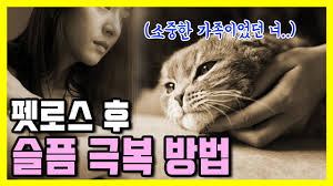 반려견과의 이별이후 - 클리앙
