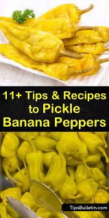 Add 1 tablespoon yellow mustard seeds and 1 tablespoon brown mustard seeds. 11 Tips Recipes To Pickle Banana Peppers