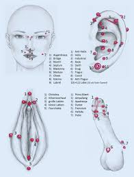 Piercing narbe/ loch entfernen lassen, cheek piercings. Abb 7 8 Piercing Lokalisationen Ohne Anspruch Auf Vollstandigkeit Download Scientific Diagram