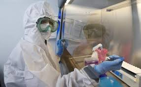 ¿hará inservibles las vacunas que ya se están aplicando? Investigacion Coronavirus La Nueva Variante Del Covid Que Se Extiende En America Latina Y Que Ya Se Encuentra Bajo La Lupa De La Oms Diario Sur