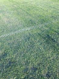 Image result for site:byggahus.se cylinderklippare