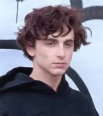 Https Encrypted Tbn0 Gstatic Com Images Q Tbn 3aand9gcsry X3btgxcnk06nco1muis4w4fe190jwdlw Usqp Cau