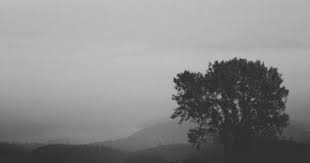 Black And White Header Pinterest Pin By Skylar Vaughn On Ttwitterr Hheaderss Twitter Header Aesthetic White Twitter Header Black Twitter Headers