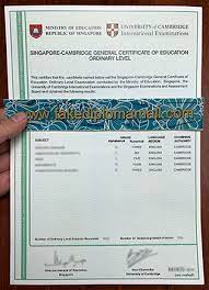 Study abroad in malaysia for pakistani students. Singapore Gce O Level Best Site To Get Fake Diplomas