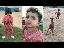 بكاء وغيرة خلودي الصغيرة بعدما امين حمل طفلة صغيرة animals