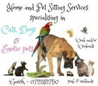 List of prices in cape town (south africa) for food, housing, transportation, going out, and more on jul 2021. Pet Sitting Rates In South Africa Gumtree
