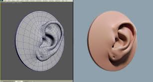Modeling Human Anatomy 3ds Max Chapter 1 Anatomy Ear Anatomy Human Anatomy