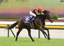 リヴァイ・アッカーマン (levi ackermann)は進撃の巨人に登場する架空の人物。 調査兵団の兵士長。人類最強の兵士として知られ、その実力は1人で1個旅団並の戦力とも噂される。 冷徹かつ無愛想。現実主義で口調も辛辣。 5esvbbksaqmim