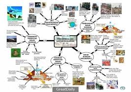 Pecutan Upsr Nota Nota Ulangkaji Peta Minda Sains Tahun 6 Kids Education Education Map