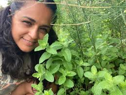 Abondigas soup with mint recipe needed