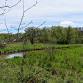 GLACIAL PRAIRIE WORK PARTY event image