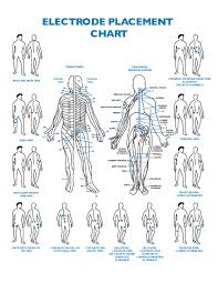 Electrode Placement Chart