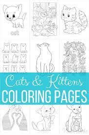 Some are real stars ! 61 Cat Coloring Pages For Kids Adults Free Printables