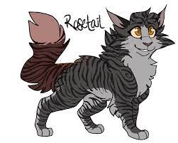 Pin On Warriors Cats