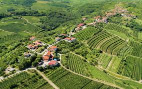 Découvrez nos idées de voyage selon vos envies. La Slovenie Voyage Au Coeur D Un Terroir Preserve Terra Balka