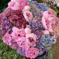Dyer unit c, santa ana, ca. Flowers Wholesale Home Facebook