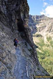 Pin By Jennifer Towe On Books Worth Reading Glacier National Park Trip Glacier National Park National Parks