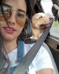 Labradores Amigos Guayaquil