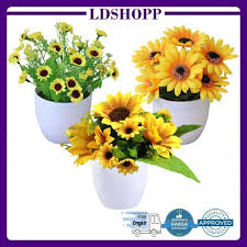 Check spelling or type a new query. Bunga Hias Harga Terbaik Taman Perlengkapan Rumah Agustus 2021 Shopee Indonesia