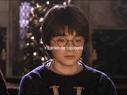 Extrañando a Harry Potter y la Amistad