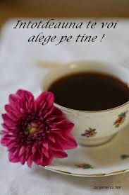 In randurile de mai jos, iata cele mai interesante 10 citate despre cafea: Jurnal Cu Flori Buna Dimineata Coffee Time Coffee Images Flower Qoutes